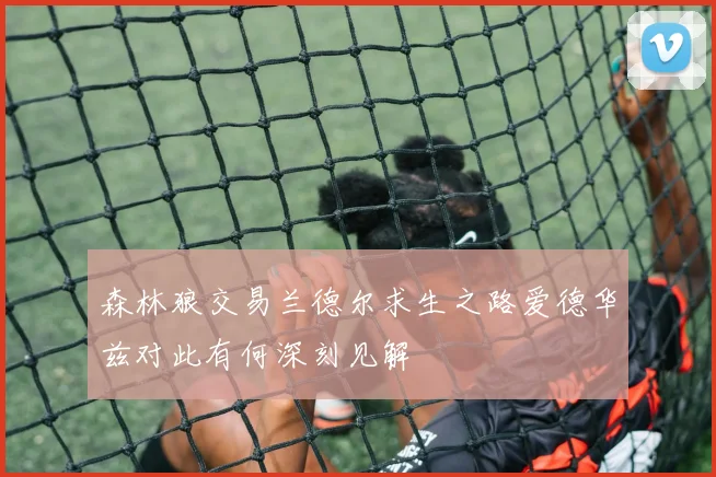 森林狼交易兰德尔求生之路爱德华兹对此有何深刻见解